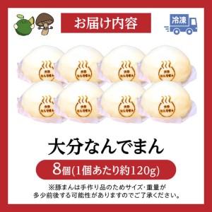 ふるさと納税 大分なんでまん（8個）_B173-003 大分県別府市_4