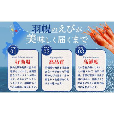 ふるさと納税 お刺身用甘えび（500g）・味付けかずのこ（140g×2パック）セット【05117】 北海道羽幌町の画像