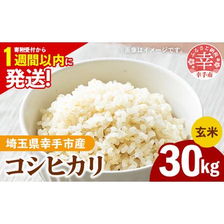 ①令和7年産　幸手産 コシヒカリ玄米30kg ふるさと納税 令和7年産 幸手市産 コシヒカリ 玄米30kg 色彩選別済
