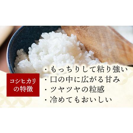 ①令和7年産　幸手産 コシヒカリ玄米30kg ふるさと納税 令和7年産 幸手市産 コシヒカリ 玄米30kg 色彩選別済