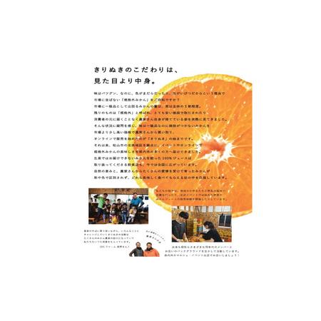 ふるさと納税 訳あり 温州みかん 5kg  みかん 【KR009】 愛媛県松山市 |  | 03