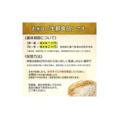 ふるさと納税 【令和8年産 新米 先行予約】 はえぬき (玄米) 30kg 《令和8年10月上旬〜発送》 『田口農園』 山形南陽産 米 ご飯 農家直送 山形県.. 山形県南陽市の画像