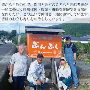ふるさと納税 古民家民泊ぶんぶく 2名様宿泊券 田舎暮らしプラン 徳島県勝浦町_3