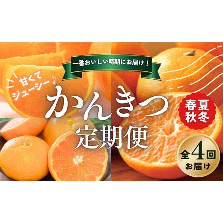 ふるさと納税 【全4回 定期便 】 柑橘 石本果樹園 旬の柑橘を春 ふるさと納税 【全4回 定期便 】 柑橘 石本果樹園 旬の柑橘を春