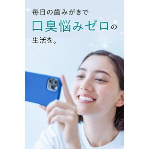 ふるさと納税 【3本セット】口臭ケア 歯磨き粉 ブレステック ハーブミント味 ホワイトエッセンス [医薬部外品] | 研磨剤なし フッ素 IPMP CP.. 神奈川県相模原市の画像
