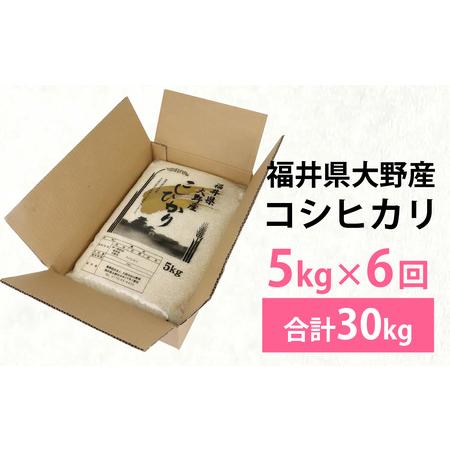 ふるさと納税 【先行予約】【6ヶ月定期便】【令和8年度産 新米】福井県大野産コシヒカリ（白米）5kg×6回 計30kg [C-094001] 福井県大野市の画像