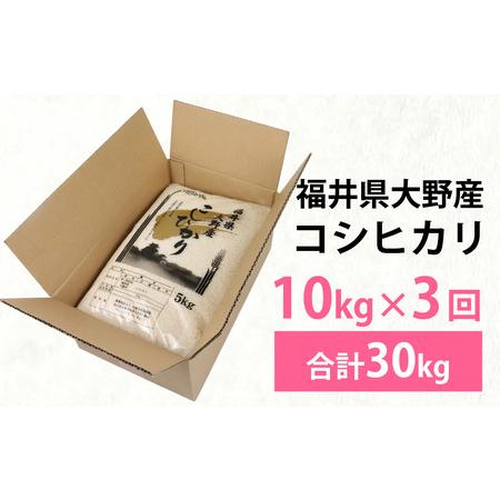 ふるさと納税 【先行予約】【3ヶ月定期便】【令和8年度産 新米】福井県大野産コシヒカリ（白米）10kg(5kg×2袋)×3回 計30kg [C-094002] 福井県大野市の画像