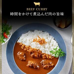 ふるさと納税 「星空の黒牛」カレー・シチュー・スープカレーセットD 10食　|  スープカレー 北海道標茶町_3
