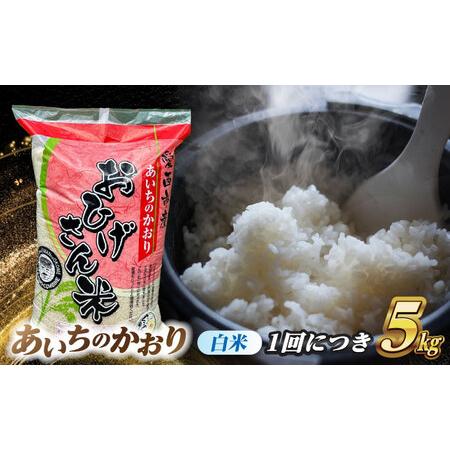 ふるさと納税 【6回定期便】あいちのかおり 白米 5kg×6か月 / 脇野コンバイン[AECP005] 愛知県愛西市_1
