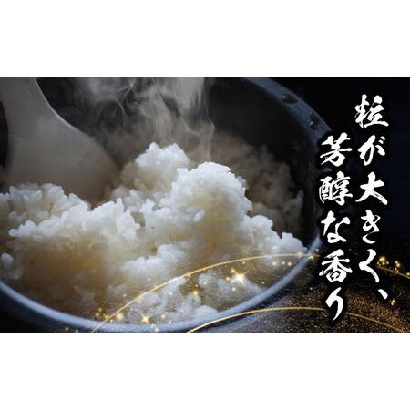 ふるさと納税 【6回定期便】あいちのかおり 白米 5kg×6か月 / 脇野コンバイン[AECP005] 愛知県愛西市_2