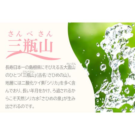 ふるさと納税 ナチュラルミネラルウォーター「さひめの泉」 ペットボトルセット（500ml×24本×1箱、2L×6本×1箱）【水 500ml .. 島根県大田市の画像