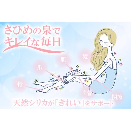ふるさと納税 ナチュラルミネラルウォーター「さひめの泉」 ペットボトルセット（500ml×24本×1箱、2L×6本×1箱）【水 500ml .. 島根県大田市の画像