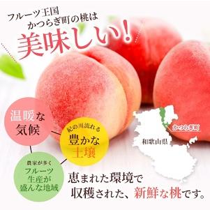 ふるさと納税 桃 白桃  約2kg 6〜8個 【秀品】【BK012-kgr009A】 和歌山県かつらぎ町の画像