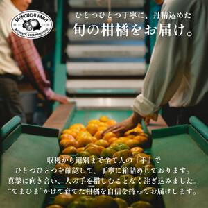 全ての写真のものお届け 2026年11月以降発送】ゼリーのような食感!「媛一まどんな」約3.5kg入