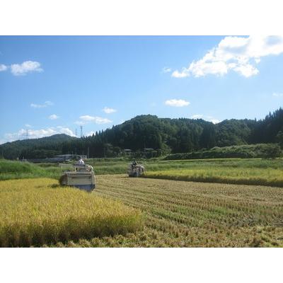 ふるさと納税 【令和5年産米】新潟県加茂市 七谷産コシヒカリ 精米10kg（5kg×2） 白米 高柳地域産数量限定 昇徳会 コシヒカリ 新潟県産コシ.. 新潟県加茂市｜furunavi｜04