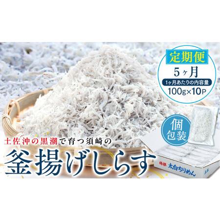 人気商品 ふるさと納税 定期便 魚 5回 釜揚げ しらす 1kg X 5ヶ月 子どもにも 便利 小分けパック 100g 10パック 産地直送 無添加 鮮度 抜群 高知県 高知県須崎市