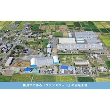 ふるさと納税 フランスベッド社 ポーランド産グースダウン90% 2枚掛け羽毛布団 ダブルサイズ「CS-02」【配送不可地域：離島・沖縄県】【1621143.. 静岡県掛川市の画像
