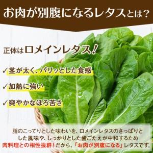 ふるさと納税 《先行予約受付中！2026年9月以降順次発送》お肉が別腹になるレタス 計600g (200g×3袋) 国産 九州産 鹿児島県産 湧水町産 .. 鹿児島県湧水町_2