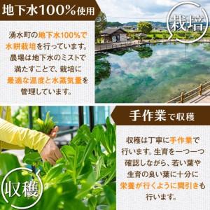 ふるさと納税 《先行予約受付中！2026年9月以降順次発送》お肉が別腹になるレタス 計600g (200g×3袋) 国産 九州産 鹿児島県産 湧水町産 .. 鹿児島県湧水町_3