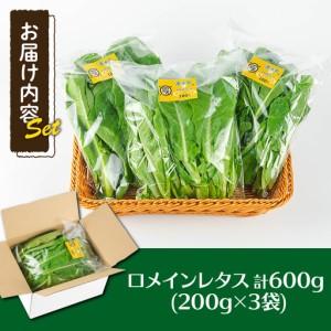 ふるさと納税 《先行予約受付中！2026年9月以降順次発送》お肉が別腹になるレタス 計600g (200g×3袋) 国産 九州産 鹿児島県産 湧水町産 .. 鹿児島県湧水町_4