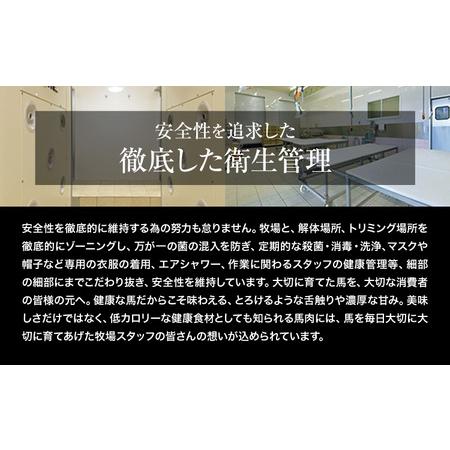 ふるさと納税 【6ヶ月定期便】赤身馬刺し 1.5kg 【純国産熊本肥育】生食用 冷凍《お申込み月の翌月から出荷開始 》送料無料 熊本県 球磨郡 山江.. 熊本県山江村の画像