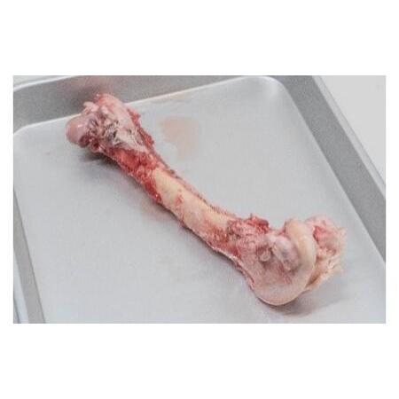 ふるさと納税 北海道 ペットのご飯 エゾシカ(生肉・骨)6種[足寄町][K&amp;D株式会社] [BEBC006] 北海道足寄町