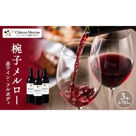 ふるさと納税 ワイン 椀子メルロー 750ml 3本 シャトー・メルシャン