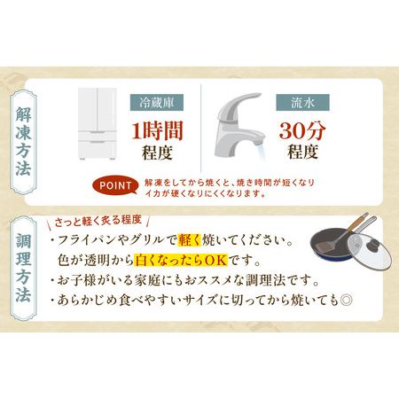 ふるさと納税 島根県浜田加工 真空包装で鮮度抜群白イカの一夜干し6枚（計400g以上）【005_0144】 島根県浜田市の画像