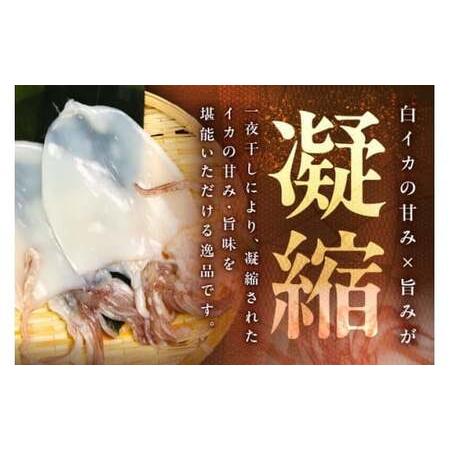 ふるさと納税 島根県浜田加工 真空包装で鮮度抜群白イカの一夜干し6枚（計400g以上）【005_0144】 島根県浜田市の画像