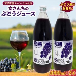 ふるさと納税 文さんちの完熟ぶどうジュース 1000ml×2本(EH001