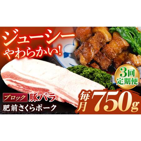 ふるさと納税 定期便 豚肉 ブロック 総計2.25kg NAC613 豚肉 全3回 佐賀県嬉野市