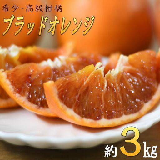 ふるさと納税 定期便全3回 【2月・3月・4月送りとどける】 和歌山の春の柑橘 （ポンカン・杳々たる・ブラッドオレンジ色）秀品【TM173】 和歌山県印南町