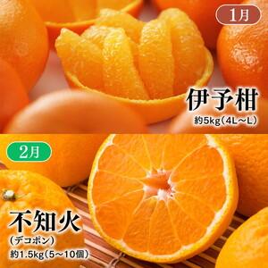ふるさと納税 【定期便】【愛媛県共通返礼品】愛媛のかんきつ定期便（全6回）（日の丸みかん・紅まどんな・伊予柑・不知火・せとか・河内晩.. 愛媛県久万高原町_2