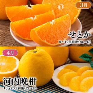 ふるさと納税 【定期便】【愛媛県共通返礼品】愛媛のかんきつ定期便（全6回）（日の丸みかん・紅まどんな・伊予柑・不知火・せとか・河内晩.. 愛媛県久万高原町_3