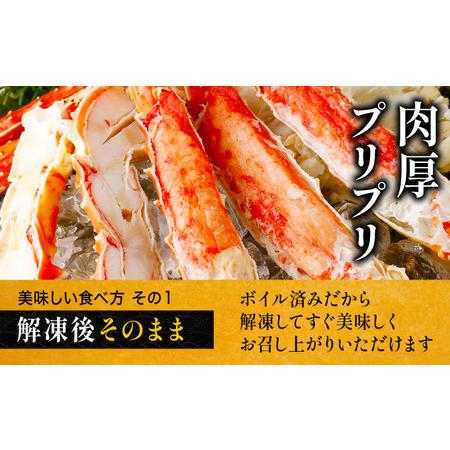 井上友樹│ルアマガプラス 井上友樹プライベートモデル☆オール