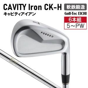 ふるさと納税 キャビティアイアン CK-H(#5-PW)270BD01N./軟鉄鍛造 フォージド アイアン 国産 ゴルフクラブ キャビティアイアン 兵庫県市川町