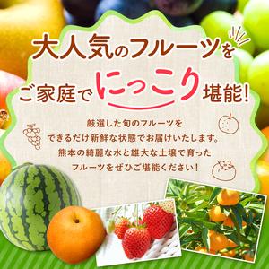 ふるさと納税 【 定期便 12回 】 ニッコリ 堪能 ！ 人気 フルーツ ご