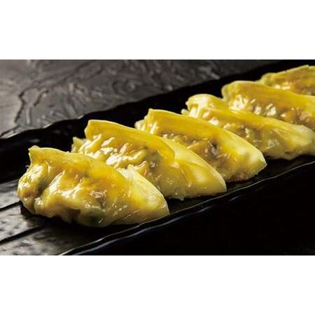 ふるさと納税 杵築ぎょうざ小春の彩りごちそうぎょうざ4種食べ比べセット（各12個 計48個）冷凍 餃子 人気 国産 ぎょうざ ギョーザ ＜152-003＞ 大分県杵築市_3