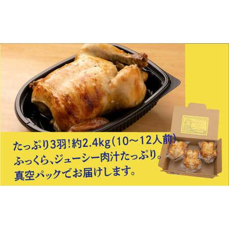 ふるさと納税 ≪2026年1月以降発送≫ 沖縄定番!! 《ブエノチキン