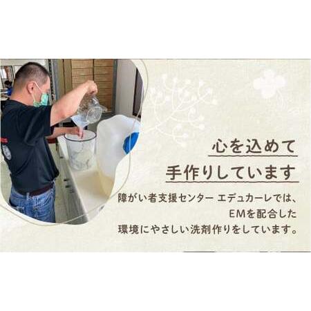 ふるさと納税 EM中性洗剤（1L×8本セット） 沖縄県宜野湾市の画像