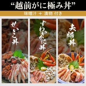 ふるさと納税 受け入れる券 昼召しあがる券 30,000円分 「日本海が目の前！絶景！お店で食べる 贅沢さかに一皿分の料理 福井県 越前町」【 2一年法的有効性締め切り日 越前かに 召しあがる.. 福井県越前町