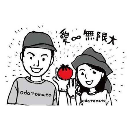 ふるさと納税 ≪2027年1月頃〜発送≫【ふるさと納税】＜フルーツトマト 定期便 織田トマト 約1kg ×5回 計5kg 真っ赤なフルーツ太陽＞【先行.. 高知県佐川町_2