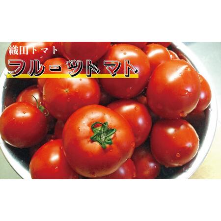ふるさと納税 ≪2027年1月頃〜発送≫【ふるさと納税】＜フルーツトマト 定期便 織田トマト 約1kg ×5回 計5kg 真っ赤なフルーツ太陽＞【先行.. 高知県佐川町_4