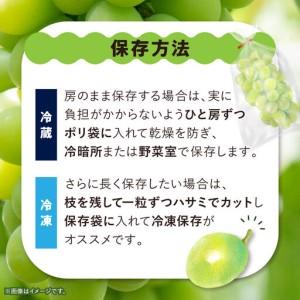 ふるさと納税 【訳あり】 池田青果のシャインマスカット2房〜3房　1kg ふるさと納税【配送不可地域：離島】【1544089】 山梨県山梨市 |  | 03
