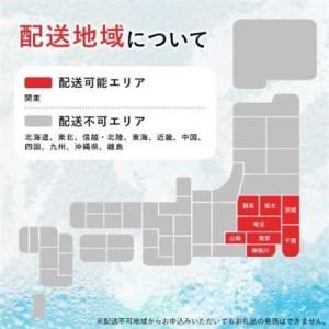 ふるさと納税 【毎月定期便】【関東のみお届け】強炭酸水レモン 1L 12本 計12LサーフVOLT(レモン)全6回【配送不可地域：離島・北海道・沖縄県・.. 山梨県山梨市_1