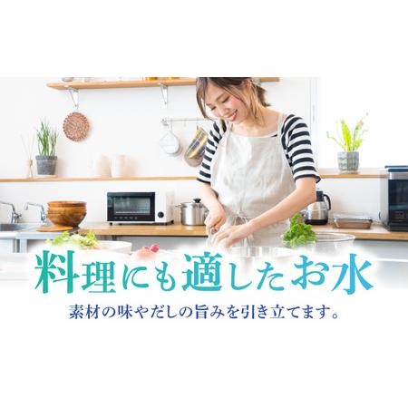 ふるさと納税 【赤ちゃんも安心して飲める】清水湧水 軟水 500ml 計48本 非加熱殺菌 ミネラルウォーター【株式会社清水】天然水の風味を損なわ.. 福岡県うきは市の画像