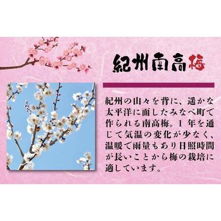 ふるさと納税 わけあり紀州南高梅はちみつ漬梅干2.6kg B-018 和歌山県みなべ町｜furunavi｜03