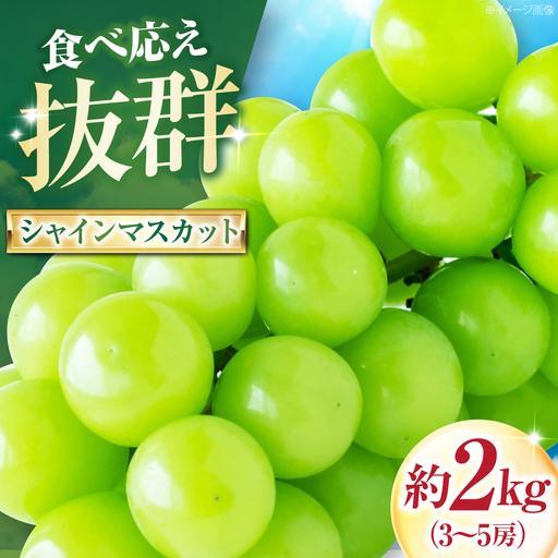 ふるさと納税 [先行予約]シャインマスカット 約2kg 3-5房入 BKAD045 マスカット 愛媛県内子町