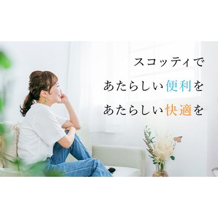 ふるさと納税 スコッティトイレットロール 48個 ＋ ボックスティッシュ 60箱（トイレットペーパー ティッシュ） 京都府福知山市_3
