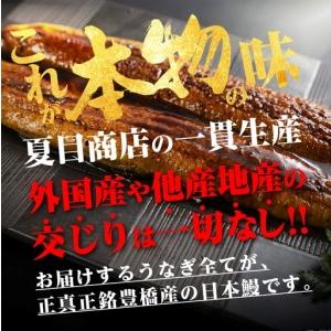 ふるさと納税 極上 豊橋 うなぎ 紅白3尾 うなぎ 愛知県豊橋市_3